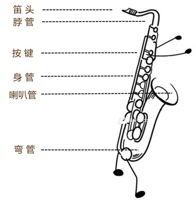 令人陶醉 萨克斯主要由笛头,脖管,身管 喇叭管,弯管,按键六个部分组成
